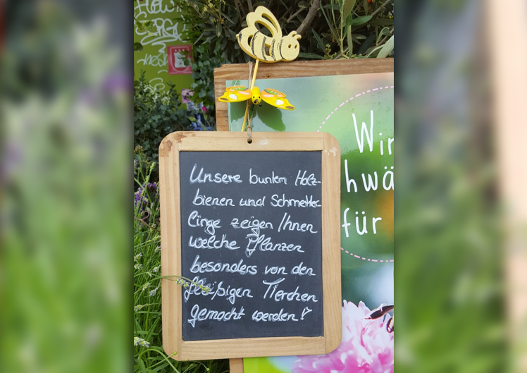 Pflanzen für Bienen und Schmetterlinge 3