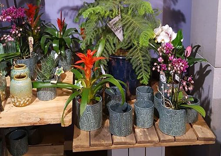 Unsere neue Frühlingskeramik 5